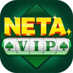 Neta VIP logo